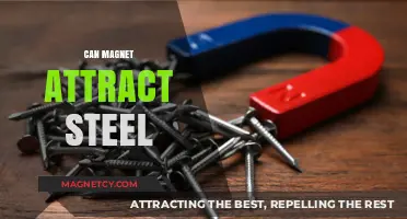 Can Magnets Attract Steel? Unveiling the Magnetic Force Behind Metals