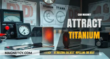 Can Magnets Attract Titanium? Exploring Magnetic Properties of Titanium Alloys