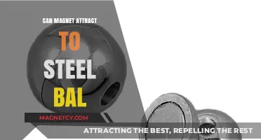 Can Magnets Attract Steel Balls? Exploring Magnetic Properties and Interactions
