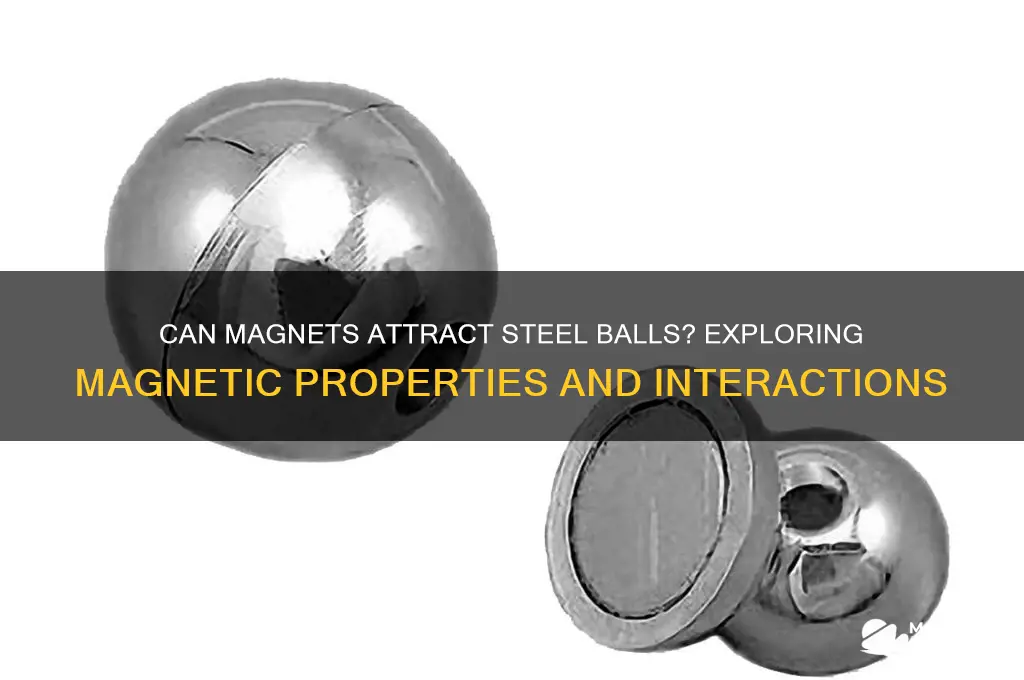 can magnet attract to steel bal