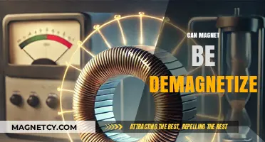 Can Magnets Lose Their Power? Demagnetization Explained Simply