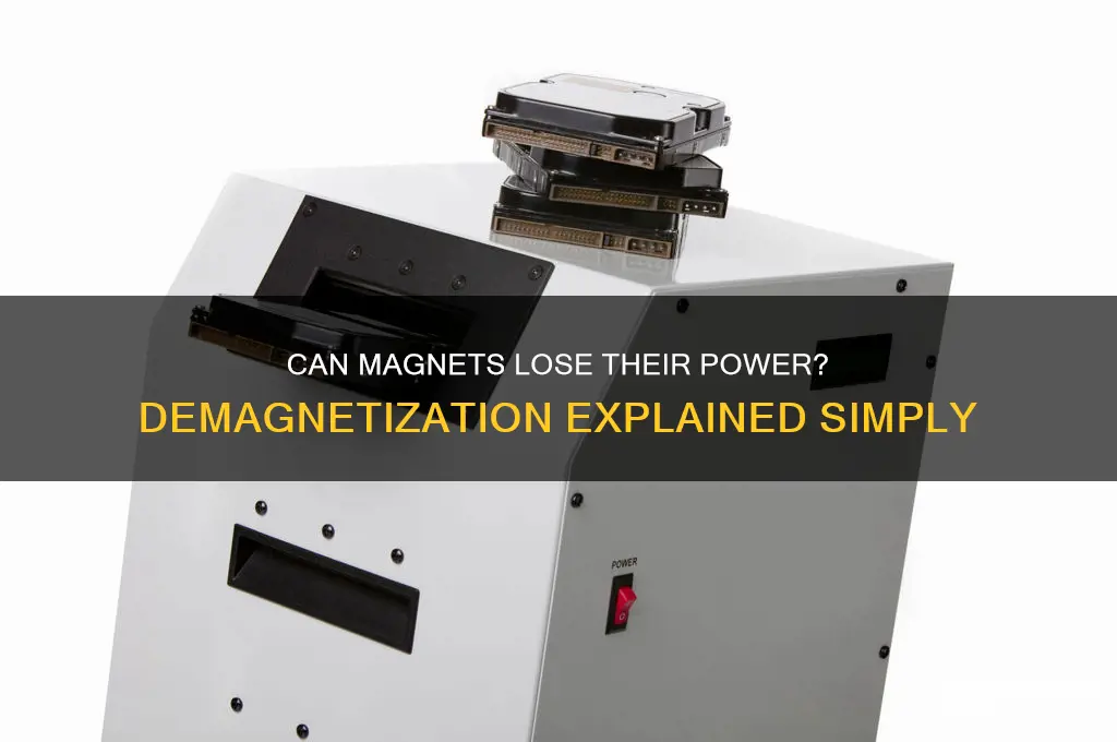 can magnet be demagnetized