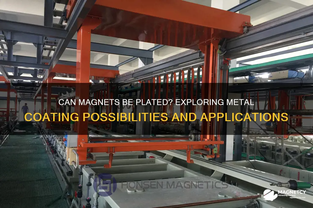 can magnet be plated