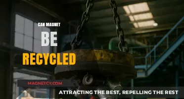 Recycling Magnets: Sustainable Practices and Environmental Benefits Explained