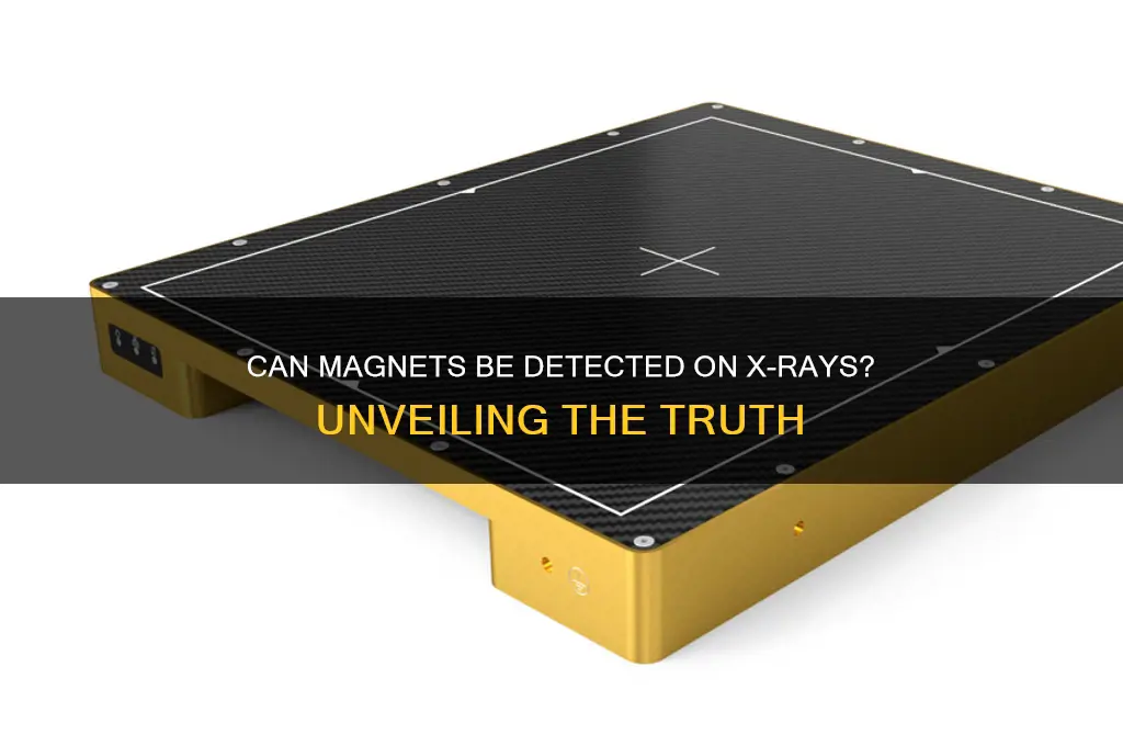 can magnet be seen on an xray