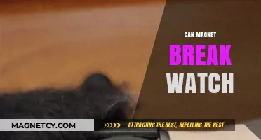 Can Magnets Damage Your Watch? Facts and Myths Explained