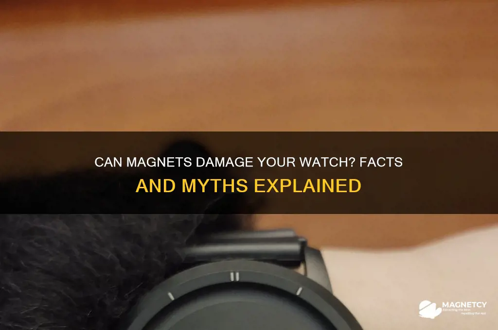 can magnet break watch