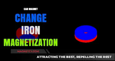 Can Magnets Alter Iron's Magnetization? Exploring Magnetic Interactions