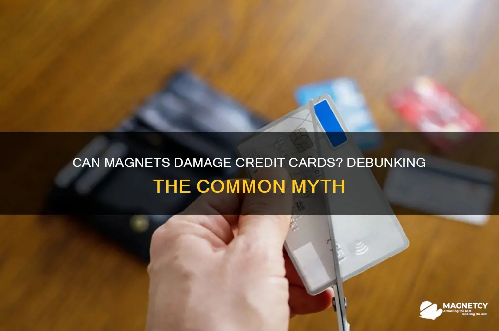 can magnet damage credit card