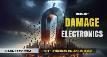 Can Magnets Harm Your Electronics? Facts and Myths Explained