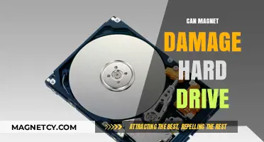 Can Magnets Damage Hard Drives? Facts and Myths Explained