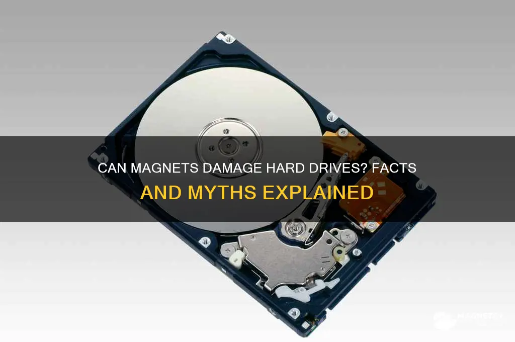 can magnet damage hard drive
