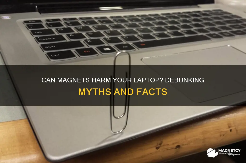 can magnet damage laptop