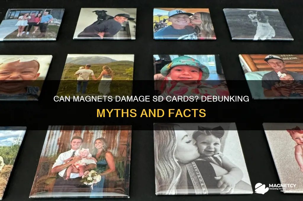 can magnet damage sd card