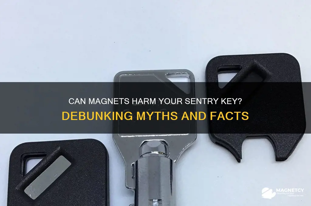 can magnet damage sentry key