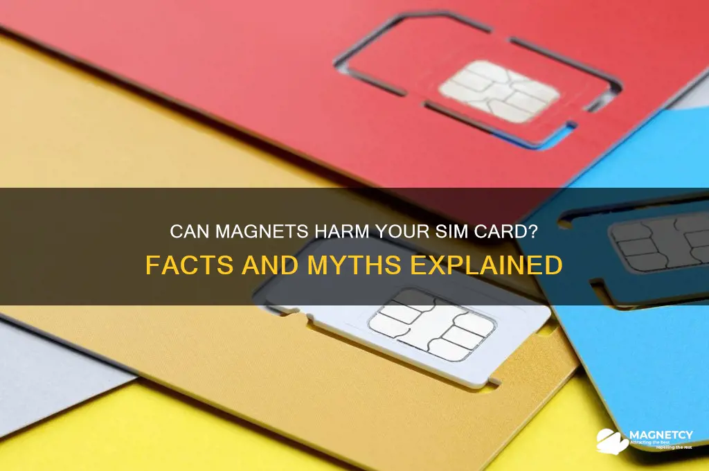 can magnet damage sim card