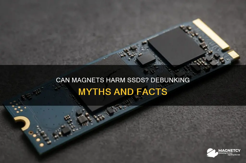 can magnet damage ssd