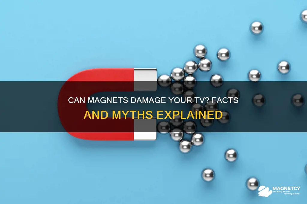 can magnet damage tv