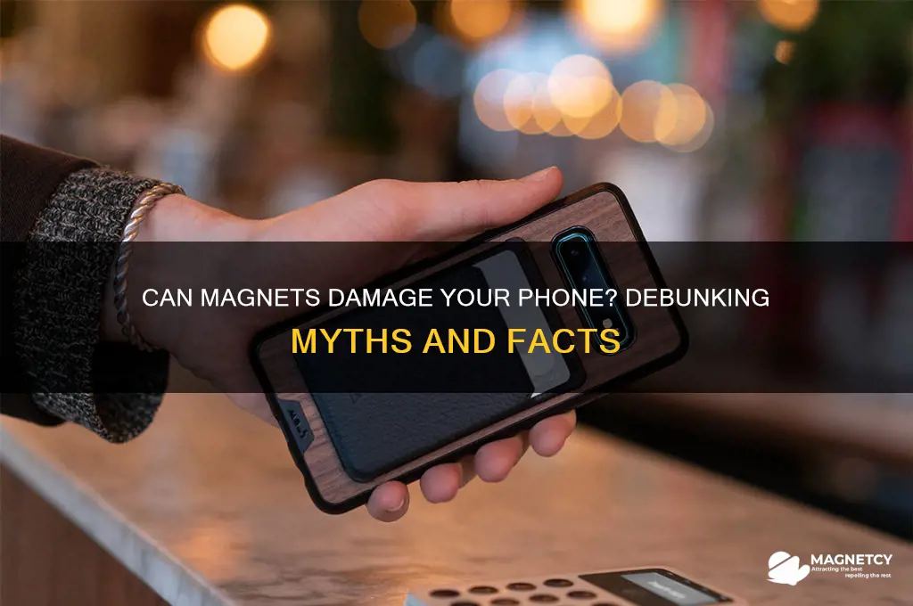 can magnet destroy phone