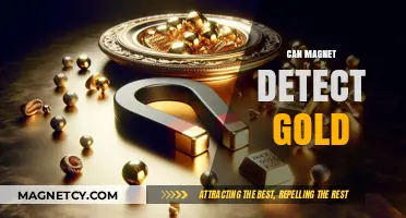 Can Magnets Detect Gold? Unveiling the Truth Behind the Myth