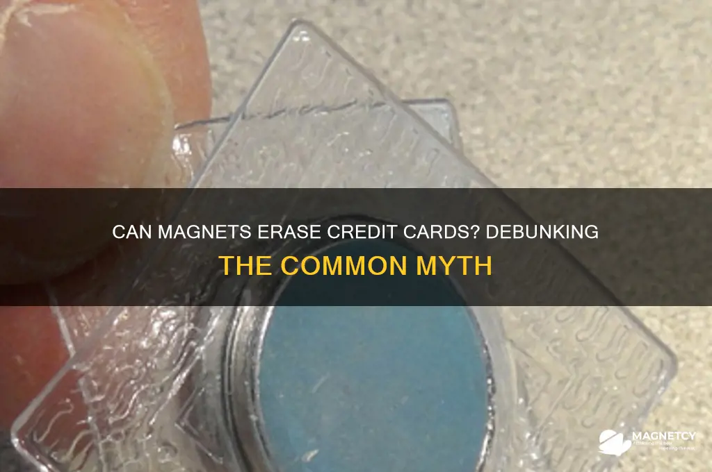 can magnet erase credit card