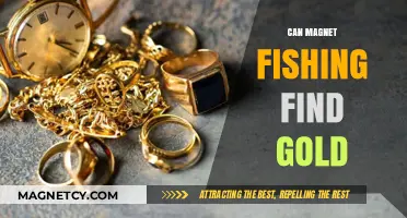 Magnet Fishing for Gold: Uncovering Treasures or Just Metal Junk?