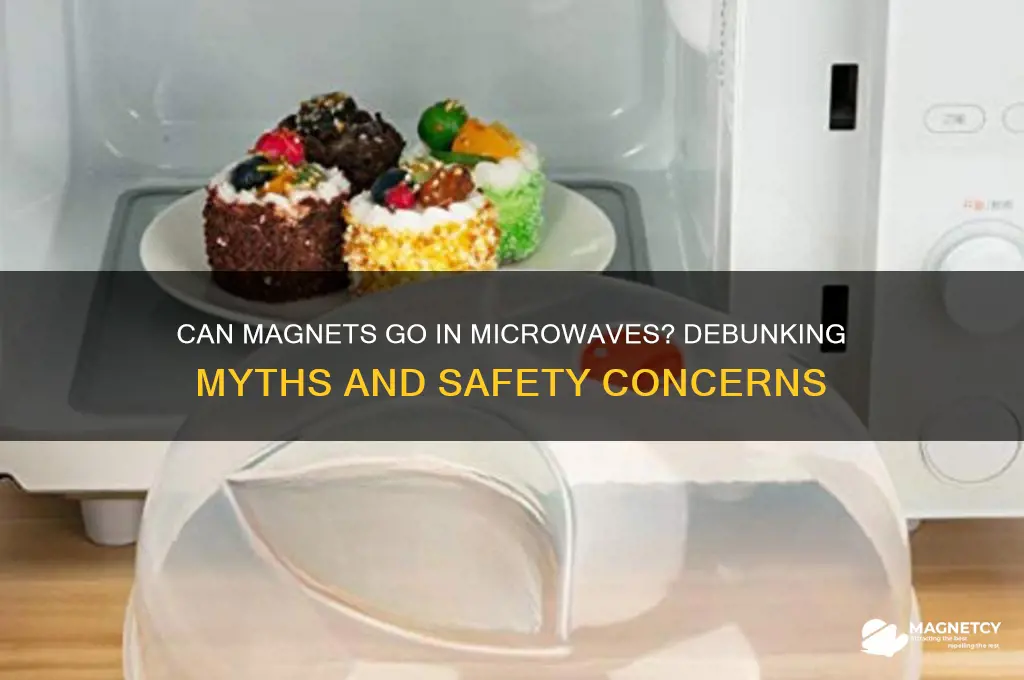 can magnet go in microwave