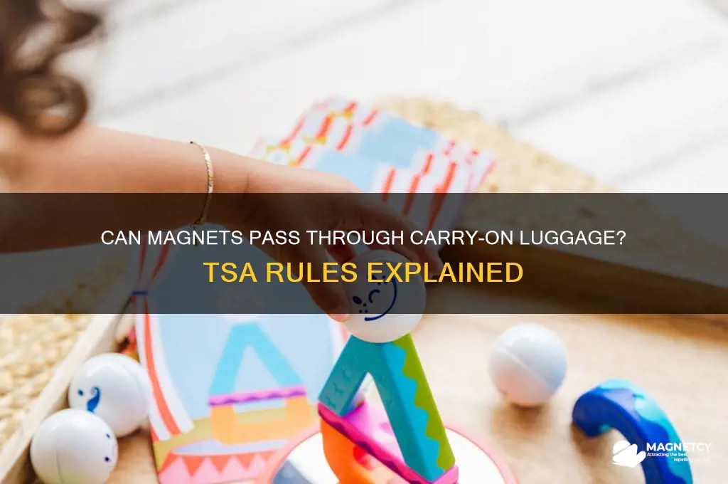 can magnet go through carry on