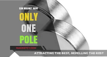 Can Magnets Exist with a Single Pole? Unraveling the Mystery