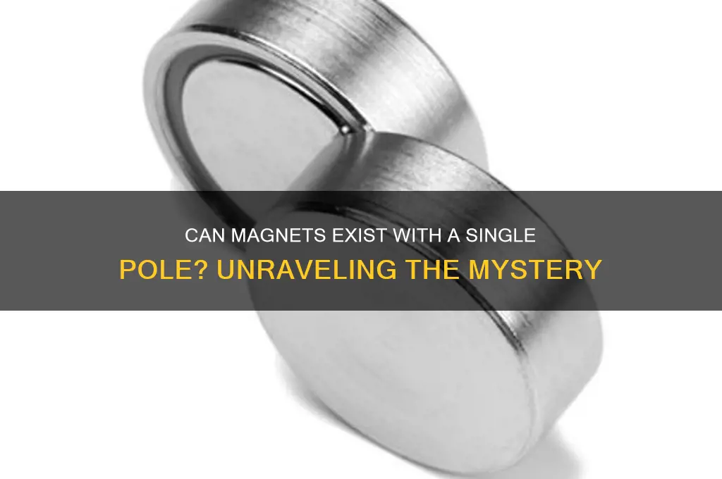 can magnet have only one pole