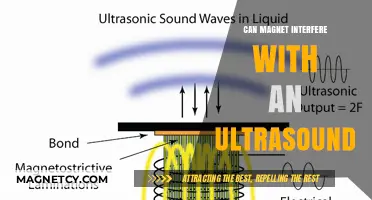 Magnetic Fields and Ultrasound: Potential Interference Explained