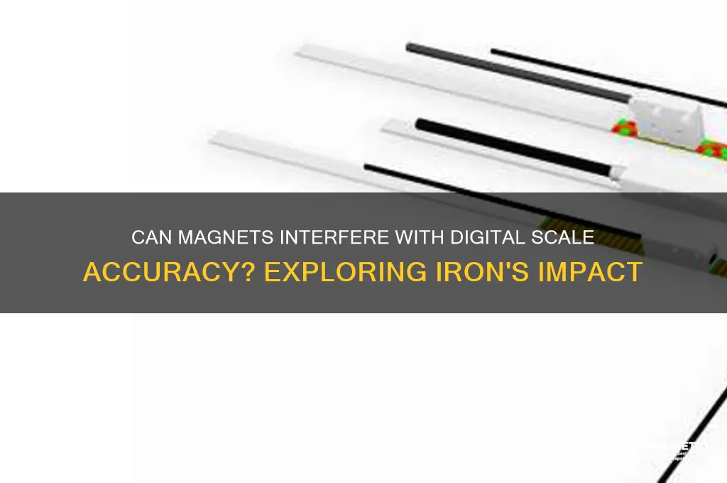 can magnet iron affect a digital scale