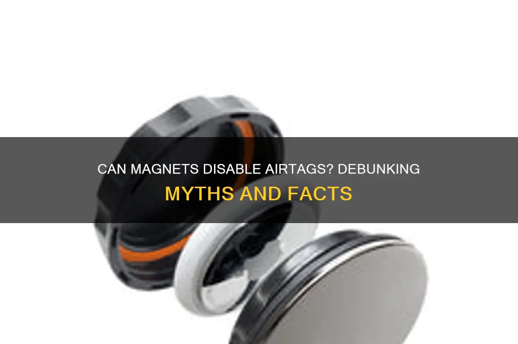 can magnet kill air tag