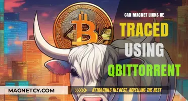 Can Magnet Links Be Traced in qBittorrent? Privacy Explained