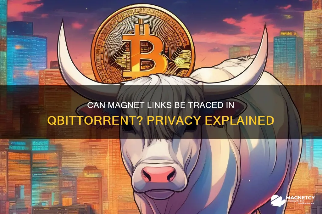 can magnet links be traced using qbittorrent