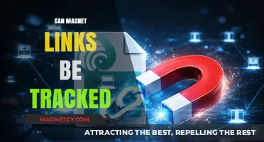 Can Magnet Links Be Tracked? Privacy Risks and Anonymity Explained