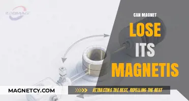 Can Magnets Lose Their Magnetism? Exploring Demagnetization Factors