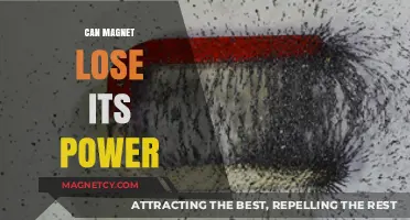 Do Magnets Weaken Over Time? Understanding Magnetic Power Loss