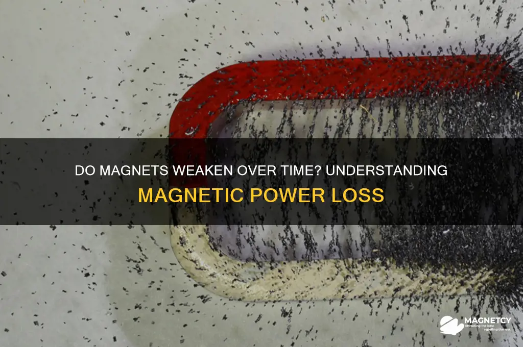 can magnet lose its power