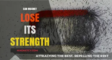 Do Magnets Weaken Over Time? Understanding Magnetic Strength Loss
