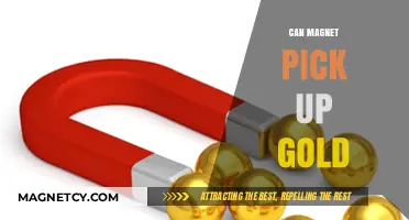 Can Magnets Attract Gold? Unveiling the Truth Behind the Myth