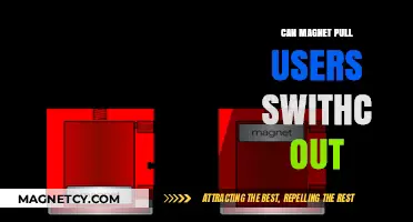 Can Magnets Influence User Switching Behavior? Exploring the Science