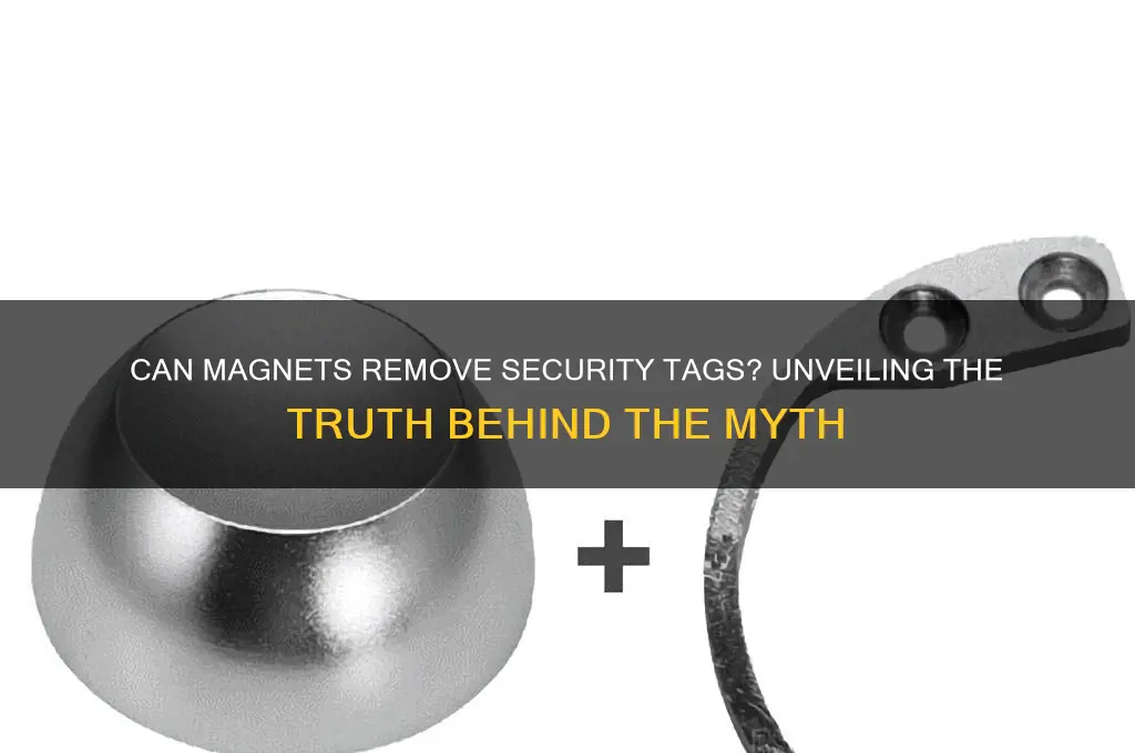 can magnet remove security tags