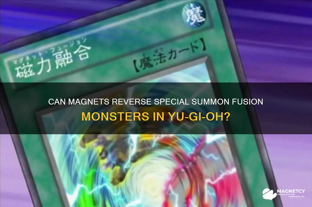 can magnet reverse special summon fusion monster