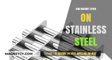 Can Magnets Stick to Stainless Steel? Understanding Magnetic Properties