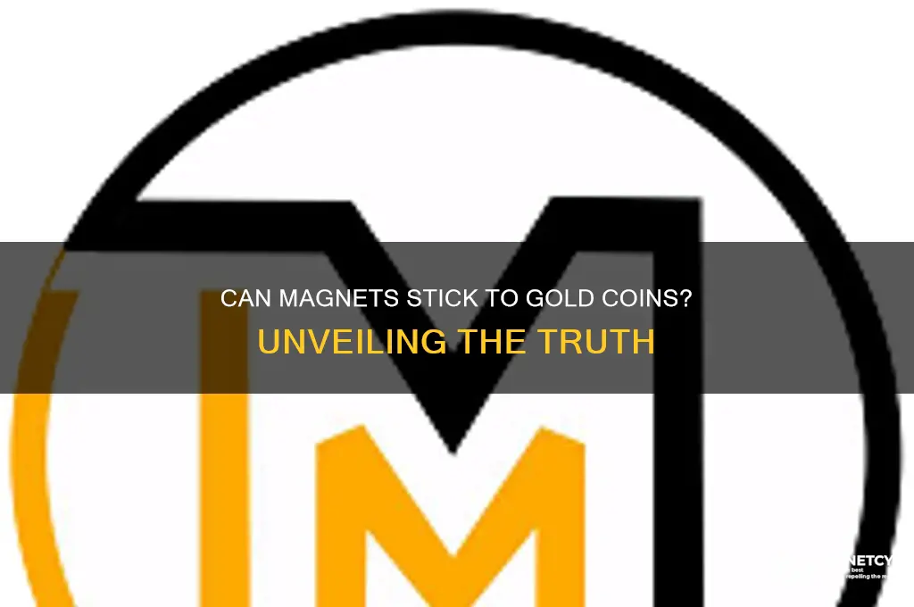 can magnet stick to a gold coin