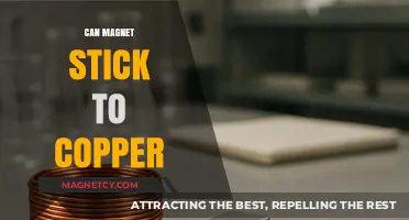 Can Magnets Stick to Copper? Exploring Magnetic Properties and Interactions