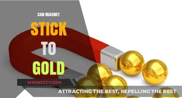 Can Magnets Stick to Gold? Unveiling the Truth Behind the Myth