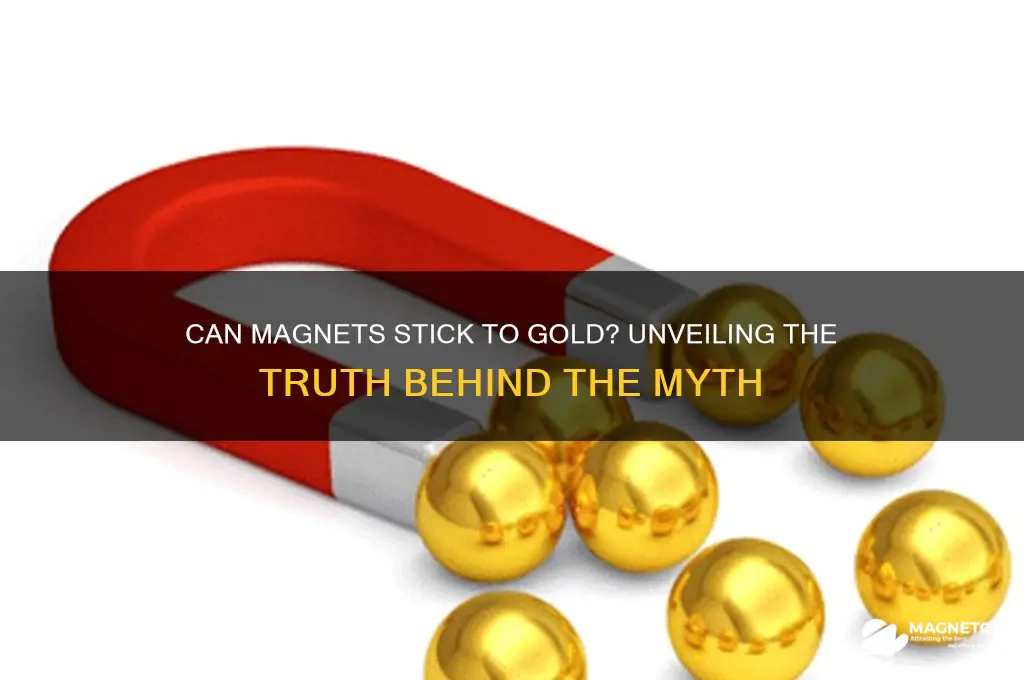can magnet stick to gold