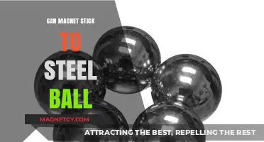 Can Magnets Stick to Steel Balls? Exploring Magnetic Attraction
